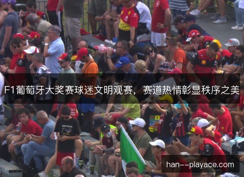 F1葡萄牙大奖赛球迷文明观赛，赛道热情彰显秩序之美